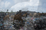 NEWS - Abfälle auf einer Deponie in Lhokseumawe, Indonesien