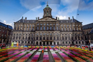 FEATURE -  Mitten im Januar: Nationaler Tulpentag in Amsterdam