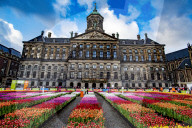 FEATURE -  Mitten im Januar: Nationaler Tulpentag in Amsterdam