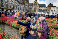 FEATURE -  Mitten im Januar: Nationaler Tulpentag in Amsterdam