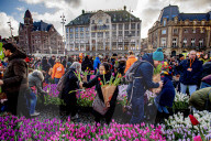 FEATURE -  Mitten im Januar: Nationaler Tulpentag in Amsterdam