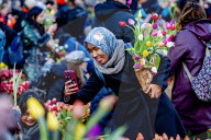 FEATURE -  Mitten im Januar: Nationaler Tulpentag in Amsterdam