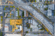 FEATURE -  Arbeitsplatz im Grünen: Das Second Home Hollywood inmitten der Millionenmetropole Los Angeles