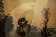 Storms have brought heavy rain to fire-hit regions of eastern Australia - but authorities warn the nation's bushfire crisis is still "far from over" as another fire breaks out in Canberra.
