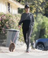 PREMIUM EXCLUSIVE Alessandra Ambrosio Meets Up With A Male Companion For A Puppy Playdate
