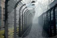 NEWS - 75. Jahrestag der Befreiung von Auschwitz