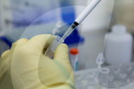 NEWS - Coronavirus: Labor in Omsk arbeitet an Diagnose-Tests