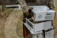 'Like sending bees to war': the deadly truth behind your almond milk obsession. Bees are essential to the functioning of America’s titanic almond industry – and billions are dying in the process.