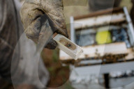 'Like sending bees to war': the deadly truth behind your almond milk obsession. Bees are essential to the functioning of America’s titanic almond industry – and billions are dying in the process.