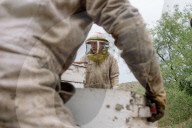 'Like sending bees to war': the deadly truth behind your almond milk obsession. Bees are essential to the functioning of America’s titanic almond industry – and billions are dying in the process.