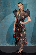 PORTRAIT -  National Television Awards, London,  Portraits