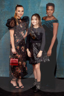 PORTRAIT -  National Television Awards, London,  Portraits