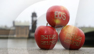 NEWS - Brexit: Britische Obstzüchter benennen Apfelsorte in Eos (Morgenröte) um
