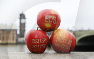 NEWS - Brexit: Britische Obstzüchter benennen Apfelsorte in Eos (Morgenröte) um