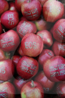NEWS - Brexit: Britische Obstzüchter benennen Apfelsorte in Eos (Morgenröte) um