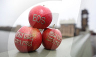 NEWS - Brexit: Britische Obstzüchter benennen Apfelsorte in Eos (Morgenröte) um