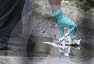 NEWS - GB: Spurensicherung nach Messerattacke in Streatham