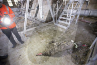 Fighting fatbergs: 'This is now a huge environmental issue'. Christmas is peak time for blockages and consumers are urged to be more careful about what they put down pipes