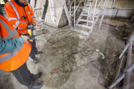 Fighting fatbergs: 'This is now a huge environmental issue'. Christmas is peak time for blockages and consumers are urged to be more careful about what they put down pipes