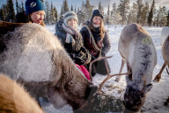 NEWS -  Klimaaktivistin Greta Thunberg besucht Rentierschutzgebiet in Lappland
