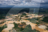 'Like a bomb going off': why Brazil's largest reserve is facing destruction. Gold prospectors are ravaging the Yanomami indigenous reserve. So why does President Bolsonaro want to make them legal?