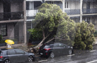 Storm hits Sydney: Flash flooding and heaviest rainfall in decades
