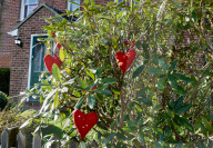 FEATURE -  Ortschaft Lover in Wiltshire rüstet sich für den Valentinstag