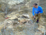 NEWS - Paläontologen haben in Venezuela die Fossilien einer riesenhaften Schildkrötenart entdeckt