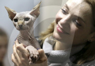 FEATURE - Katzen Ausstellung in Minsk