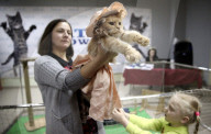 FEATURE - Katzen Ausstellung in Minsk