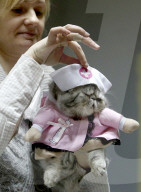 FEATURE - Katzen Ausstellung in Minsk