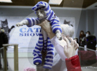 FEATURE - Katzen Ausstellung in Minsk