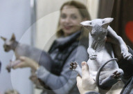 FEATURE - Katzen Ausstellung in Minsk