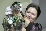 FEATURE - Katzen Ausstellung in Minsk