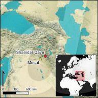 FEATURE - Entdeckung am Blumengrab von Shanidar könnte das Geheimnis der Todesriten der Neandertaler aufdecken