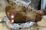 FEATURE - Entdeckung am Blumengrab von Shanidar könnte das Geheimnis der Todesriten der Neandertaler aufdecken