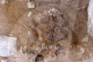 FEATURE - Entdeckung am Blumengrab von Shanidar könnte das Geheimnis der Todesriten der Neandertaler aufdecken