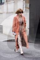 PEOPLE - Anna Wintour auf dem Weg zur Fashion Week