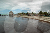 NEWS - Braunalgen bedrohen Naturparadies von Holbox in Mexico