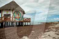 NEWS - Braunalgen bedrohen Naturparadies von Holbox in Mexico