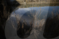 California's historic water law
