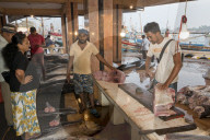 REPORTAGE - Sri Lanka