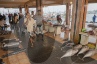 REPORTAGE - Sri Lanka