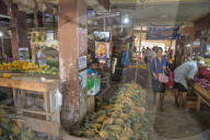 REPORTAGE - Sri Lanka