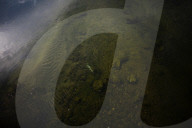 California's historic water law