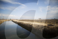 California's historic water law
