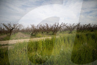 California's historic water law