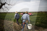 California's historic water law