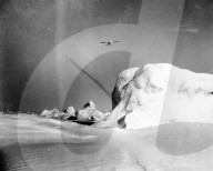 Mono Negative