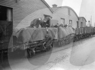 Mono Negative